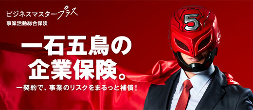 ビジネスマスタープラス